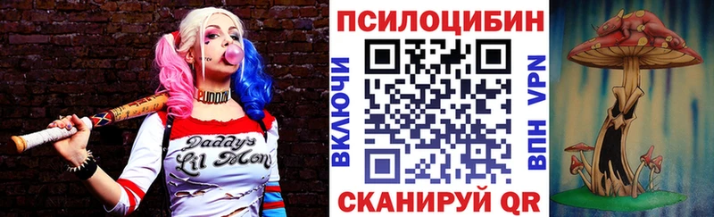 Псилоцибиновые грибы Cubensis  наркотики  Курчалой 